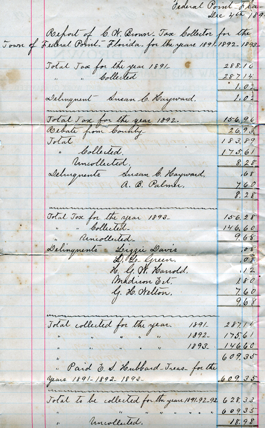 Tax Report 1893.jpg